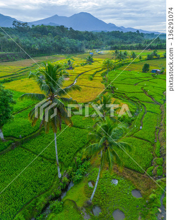 beautiful morning view indonesia panorama landscape beach with beauty color and sky natural light 136291074