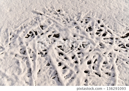 由雪和掉落的樹枝組成的圖案 由雪和掉落的樹枝組成的圖案 136291093