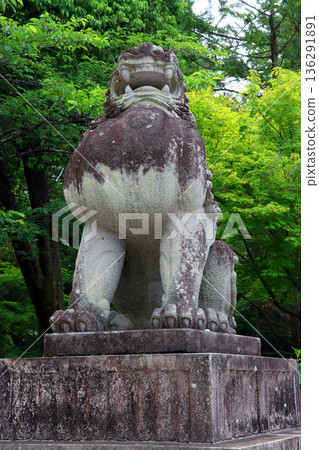 武田神社(甲府) 武田神社(甲府) 136291891