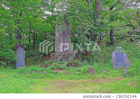 武田神社（甲府） 136292144