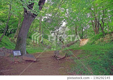 武田神社（甲府） 136292145