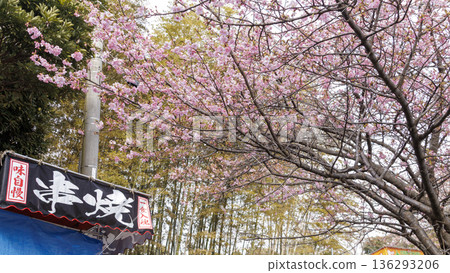 三浦海岸河津櫻花節 三浦海岸河津櫻花節 136293206