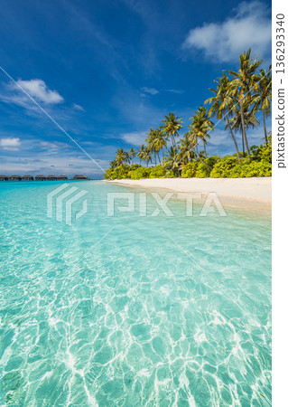 Paradise beach tropical island soft sand palm trees calm ocean waves summer vacation scenic wallpaper background 136293340