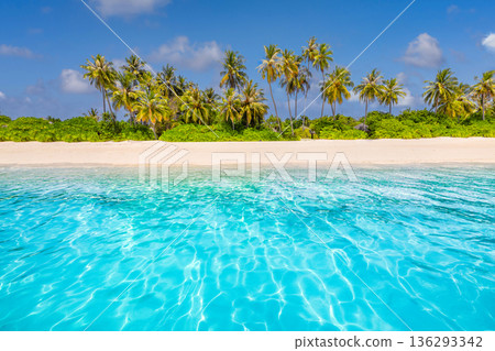 Idyllic paradise beach tropical island soft sand palm trees turquoise ocean summer vacation scenic wallpaper background Idyllic paradise beach tropical island soft sand palm trees turquoise ocean summer vacation scenic wallpaper background 136293342