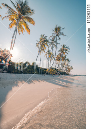 Idyllic tropical beach waves sand shore palm trees sunrise sky exotic landscape travel wallpaper background Idyllic tropical beach waves sand shore palm trees sunrise sky exotic landscape travel wallpaper background 136293363