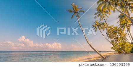 Sunrise beach panorama palm trees ocean horizon tropical island summer vacation landscape wallpaper background 136293369