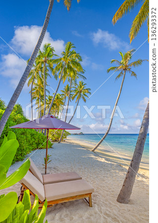 Beach couple landscape luxury honeymoon travel destination tropical island summer vacation wallpaper background 136293372