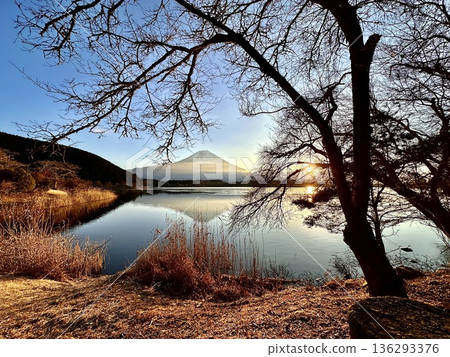 Mt. Fuji seen from Lake Tanuki Mt. Fuji seen from Lake Tanuki 136293376
