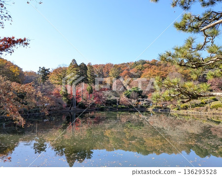 Autumn leaves of Yakushiya Park Autumn leaves of Yakushiya Park 136293528