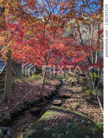 Yakushiya公園秋葉 136293529