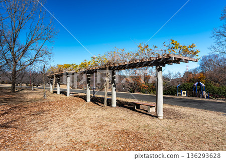 在東京稻城市若葉台若葉台公園的長椅上休息 136293628