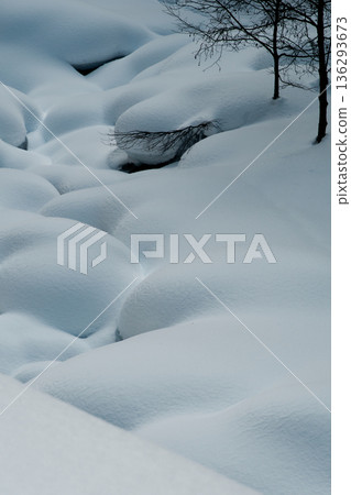 冬日山谷,覆蓋著棉絮般的雪。 冬日山谷,覆蓋著棉絮般的雪。 136293673