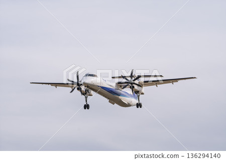 冬季仙台機場，降落的飛機，宮城縣名取市 136294140