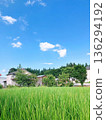 夏天藍天和寬米領域 136294192