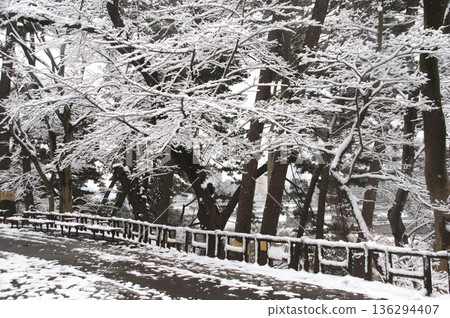 多摩河泰園 136294407