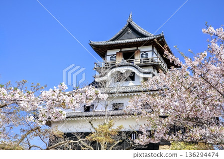 Inuyama City, National Treasure Inuyama Castle and cherry blossoms in full bloom Inuyama City, National Treasure Inuyama Castle and cherry blossoms in full bloom 136294474