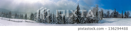 Snowy landscape with trees and a clear sky during winter in the mountains Snowy landscape with trees and a clear sky during winter in the mountains 136294488