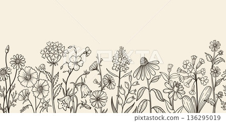 Wildflower seamless border with hand drawn meadow blooms, daisy and bellflower for vintage poster, rustic invitation botanical template. Isolated vector sketch banner Wildflower seamless border with hand drawn meadow blooms, daisy and bellflower for vintage poster, rustic invitation botanical template. Isolated vector sketch banner 136295019