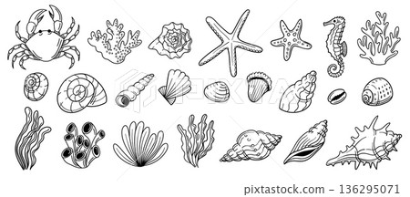 Marine wildlife doodle. Crab, seahorse and coral, seahorse and starfish, mollusk and seashell, seaweed for nautical vacation sticker, beach clipart and ocean pattern. Vector hand drawn isolated set Marine wildlife doodle. Crab, seahorse and coral, seahorse and starfish, mollusk and seashell, seaweed for nautical vacation sticker, beach clipart and ocean pattern. Vector hand drawn isolated set 136295071