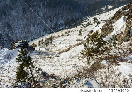 Mountain slope with sparse pine trees and melting snow in Siberian taiga landscape. Winter nature scene for travel and geography. Mountain slope with sparse pine trees and melting snow in Siberian taiga landscape. Winter nature scene for travel and geography. 136295090