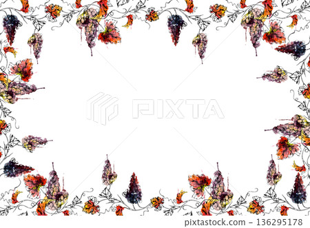 Botanical frame with red grape clusters on vines with leaves and tendrils hand painted in watercolor and ink. Organic branding, winery drink menus, packaging, tour invitations, kitchen decor prints Botanical frame with red grape clusters on vines with leaves and tendrils hand painted in watercolor and ink. Organic branding, winery drink menus, packaging, tour invitations, kitchen decor prints 136295178