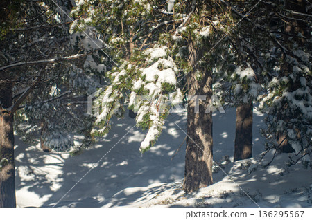 Pristine winter mountain views reveal snow-covered peaks and untouched alpine landscapes in the Sierra Nevada, Spain. Pristine winter mountain views reveal snow-covered peaks and untouched alpine landscapes in the Sierra Nevada, Spain. 136295567