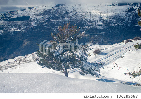 Pristine winter mountain views reveal snow-covered peaks and untouched alpine landscapes in the Sierra Nevada, Spain. 136295568