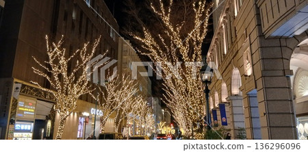 Luminarie Kobe Former Foreign Settlement Hyogo Prefecture Luminarie Kobe Former Foreign Settlement Hyogo Prefecture 136296096