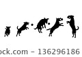Dog catching a ball - continuous silhouette (vector material) 136296186