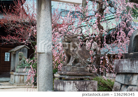 Kyoto Kan's company Kyoto Kan's company 136296345