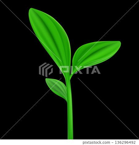 Green plant Green plant 136296492