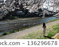 Cherry blossoms in full bloom taken along the Asano River in Kanazawa 136296678