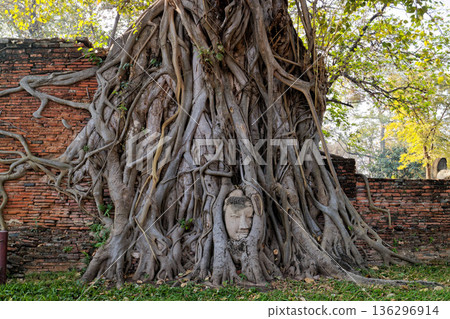 Buddha head wrapped in tree roots, Wat Mahathat, Ayutthaya, Thailand 136296914