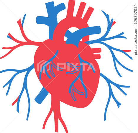 heart heart 136297034