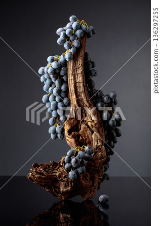 Blue grapes and weathered snag on a black reflective background. Blue grapes and weathered snag on a black reflective background. 136297255