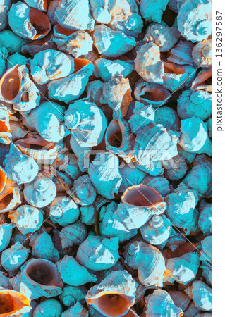 Abstract nature rapana background. Rapana texture colored in a trendy blue color. Rapana beach. Vertical banner Abstract nature rapana background. Rapana texture colored in a trendy blue color. Rapana beach. Vertical banner 136297587