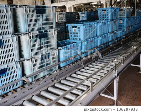 Distribution center conveyor 136297938