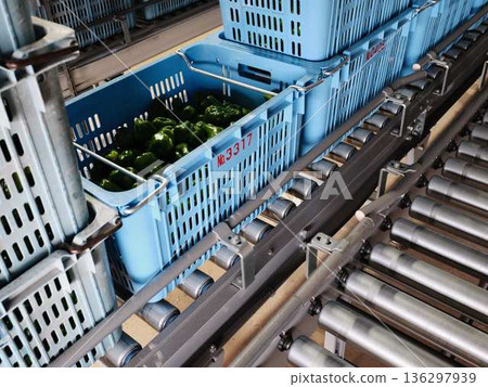 Distribution center conveyor 136297939