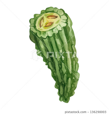 Green half of a momordica fruit with seeds. Hand-painted watercolor drawing of an Indian cucumber on a white background. Healthy eating and vegetable concept for cookbooks, labels, and packaging. 136298003