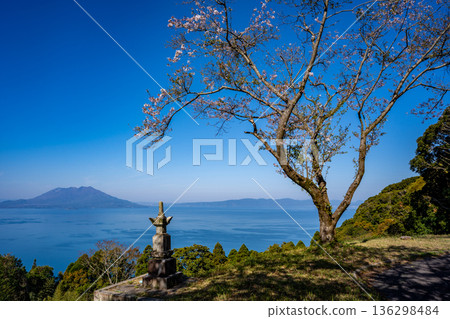 從馬瓦里城遺址（二尾城遺址）看到的櫻島（霧島市） 136298484