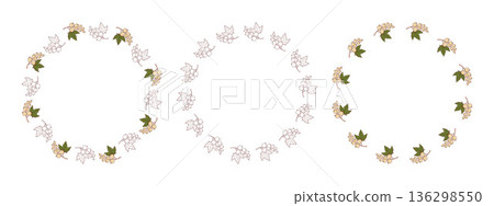 White Currant Round Wreaths Set. Botanical Circle Frame with Berry and Leaves in Color and outline Line Art with Empty Copy Space. Isolated Vector illustration White Currant Round Wreaths Set. Botanical Circle Frame with Berry and Leaves in Color and outline Line Art with Empty Copy Space. Isolated Vector illustration 136298550