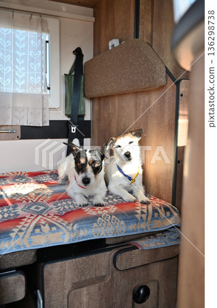 開著露營車，帶著兩隻友善的傑克羅素梗犬旅行 136298738