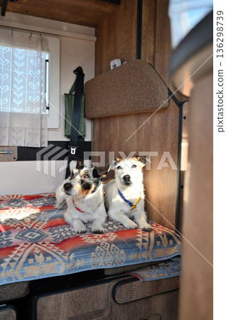 開著露營車，帶著兩隻友善的傑克羅素梗犬旅行 136298739