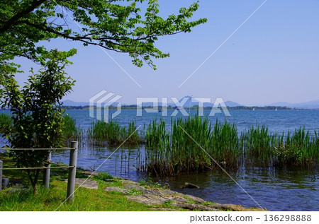 A tranquil view of Lake Biwa with fresh greenery and waterside scenery A tranquil view of Lake Biwa with fresh greenery and waterside scenery 136298888