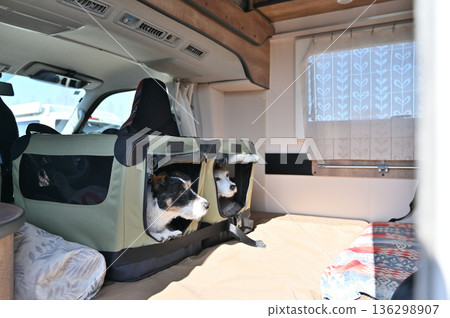 Traveling in a camper van with my beloved dog, Jack Russell Terrier in the drive bed, multiple pet owners Traveling in a camper van with my beloved dog, Jack Russell Terrier in the drive bed, multiple pet owners 136298907