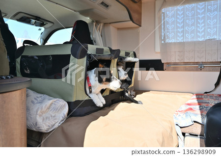 我和心愛的狗狗傑克羅素梗犬一起乘坐露營車旅行,它就坐在駕駛室的床鋪上。 我和心愛的狗狗傑克羅素梗犬一起乘坐露營車旅行,它就坐在駕駛室的床鋪上。 136298909