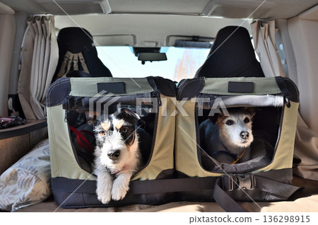 我和心愛的狗狗傑克羅素梗犬一起乘坐露營車旅行，它就坐在駕駛室的床鋪上。 136298915