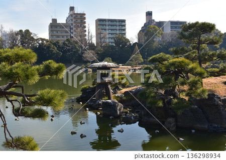清澄花園 清澄花園 136298934