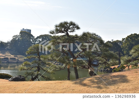 清澄花園 清澄花園 136298936