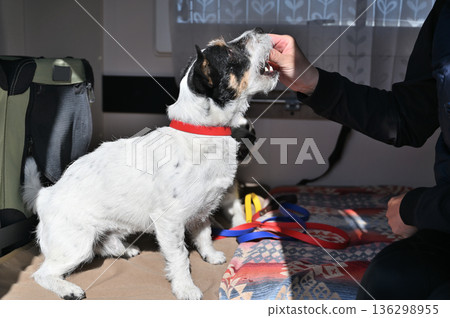 和我心愛的傑克羅素梗犬一起乘坐露營車旅行 136298955